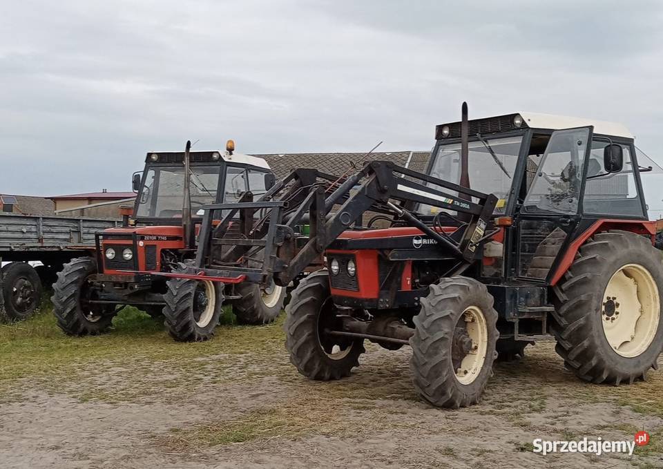 Zetor 7245 z turem wielkopolskie Dziwie