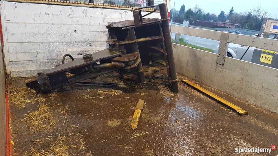 Cyklop Polski Przeciszów