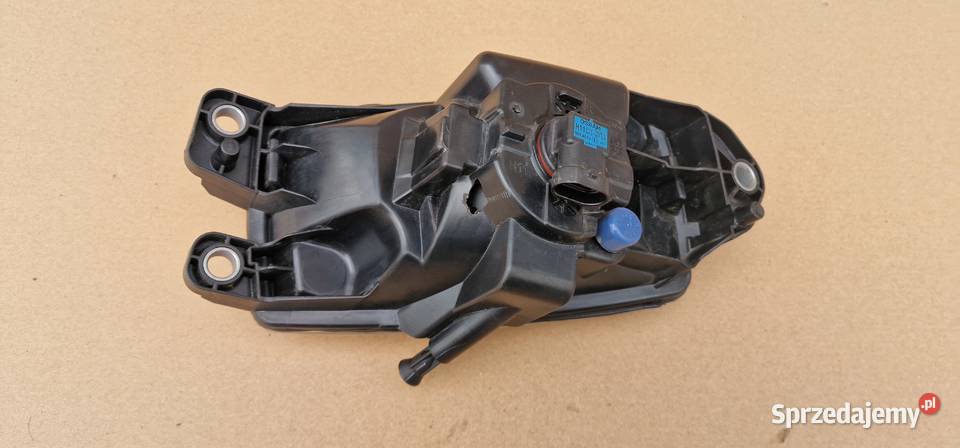 RENAULT GAMA T RANGE HALOGEN PRAWY 892252916 Bieleń