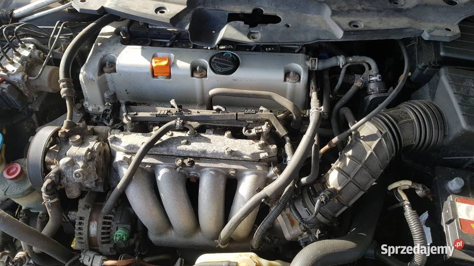 Listwa maski chrom Honda Accord VII Szadek