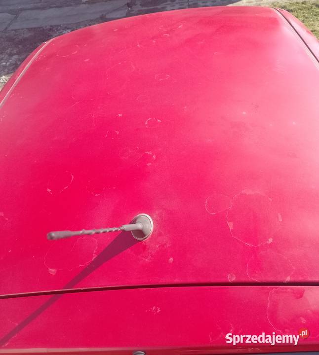 Fiat Panda 11 2009r benzyna Strzegocice