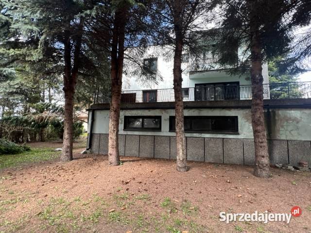 syndyk sprzeda nieruchomość w Proszowicach Proszowice