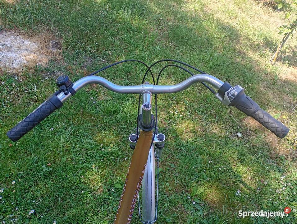 Damka rower miejski Alu 28 7 biegów w piaście Miejskie lubelskie