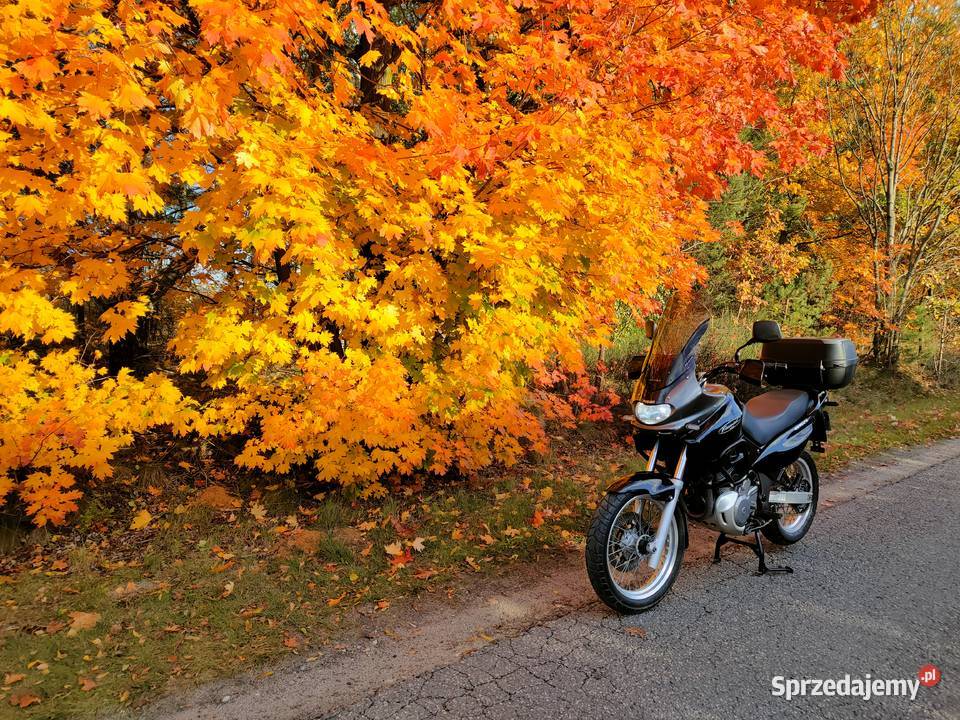 Suzuki XF 650 Freewind idealny Belsk Duży