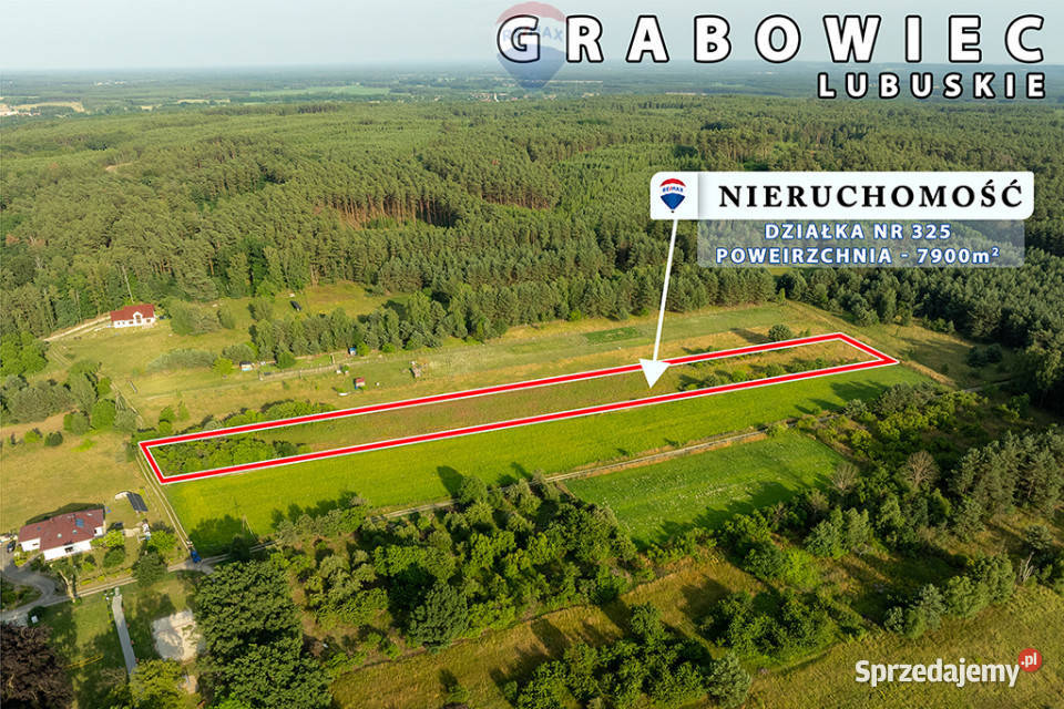 Na sprzedaż działka rolna 7900 m2 pod lasem Sprzedaż sprzedam