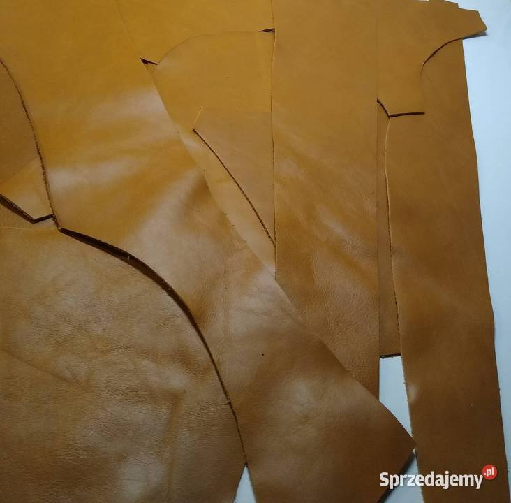 Skóra 450 Licowa Włoska duże średnie i małe Antyki, Sztuka, Kolekcje Gdańsk