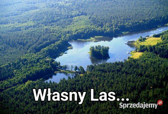 DWIE DZIALKI LEŚNE W PUSZCZY KNYSZYŃSKIEJ 63m podlaskie
