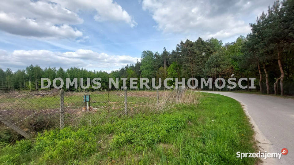 Działka 4504m2 Rosanów budowlana sprzedam