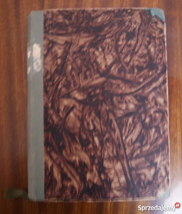 Teodor Goździkiewicz Wyżynka 1946 sprzedam