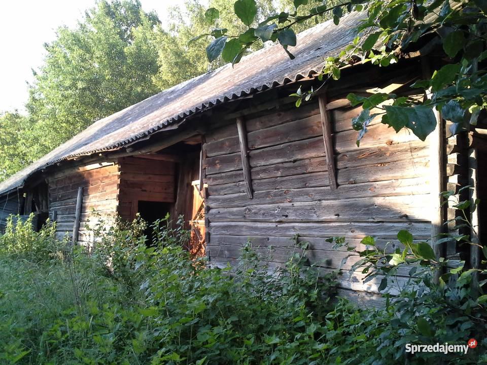 stodołę z bala sosnowego do rozbiórki Szernie