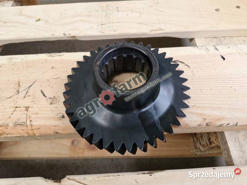 Koło zębate Massey Ferguson 6120 6260 6280 6290 Skrzynia biegów Byków