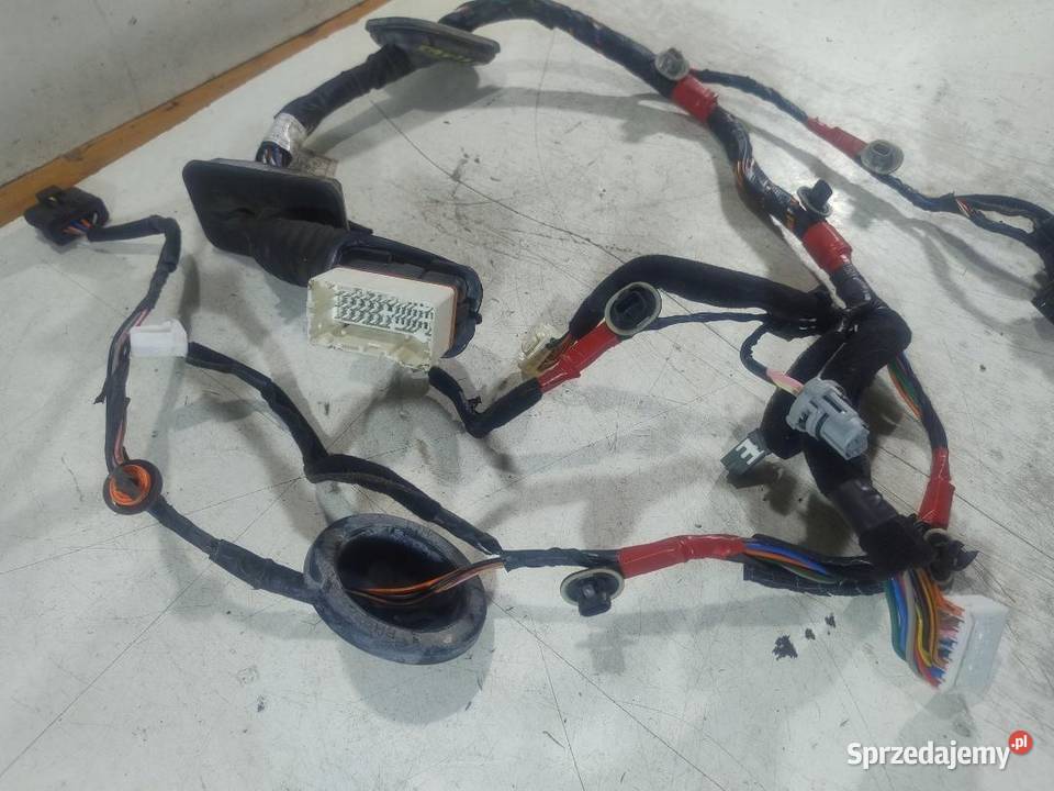 WIĄZKA INSTALACJA DRZWI LEWY PRZÓD HYUNDAI SANTA wielkopolskie