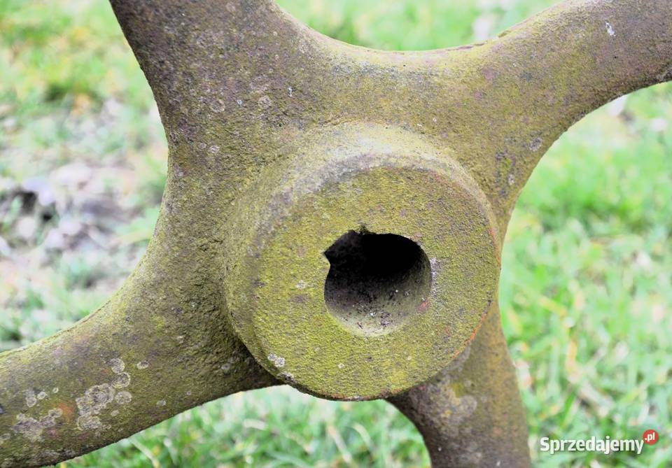 Koło pasowe 60 Włodawa