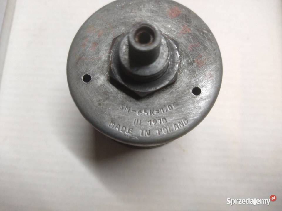 Komar sztywniak licznik świętokrzyskie Ostrowiec Świętokrzyski