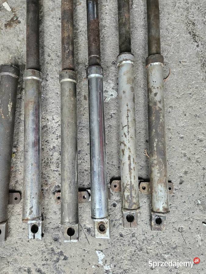 Lagi Golenie Wsk 125 175 13 wielkopolskie