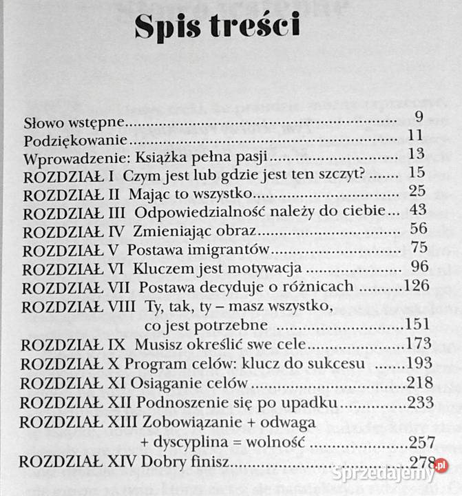 Ponad szczytem Zig Ziglar Chełm