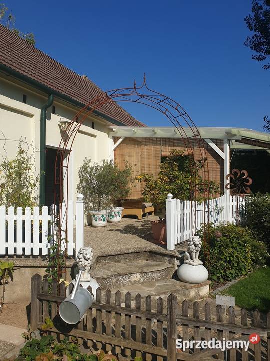Pergola Ogrodowa Łuk Różany Łuk Bluszcz Róże Wodzisław Śląski