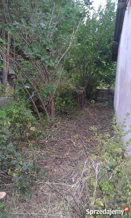 Działka ROD POD DĘBEM Szczecin Pilchowo 50zł/m2 Grunty i działki zachodniopomorskie