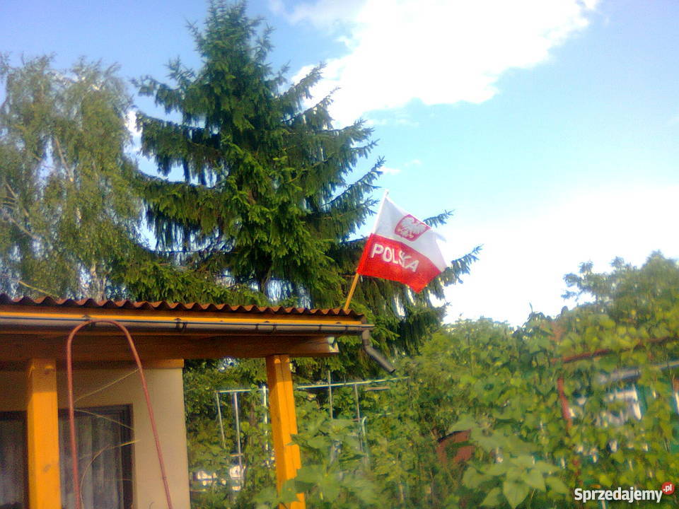 dzialka ogrodnicza Paderewskiego kujawsko-pomorskie Brodnica