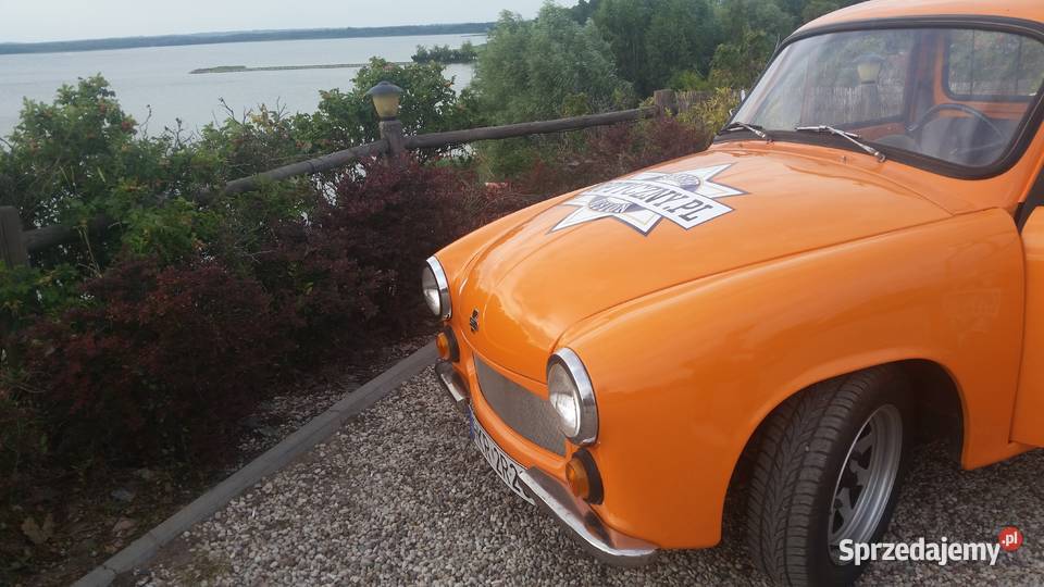 Piękna syrena fso