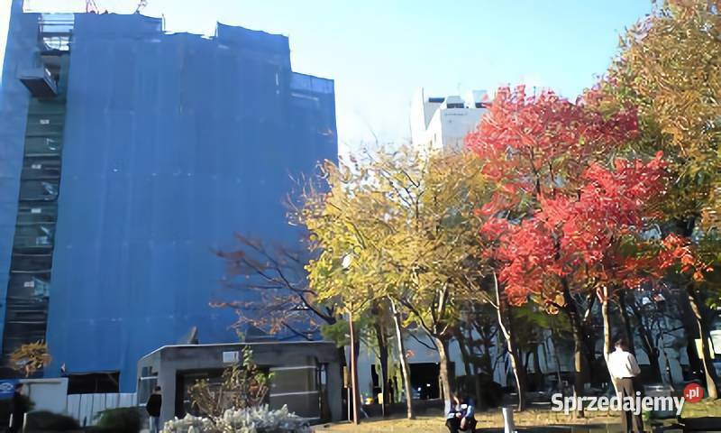 Plandeka ochronna 15x20m biała mocna AJJ Warszawa