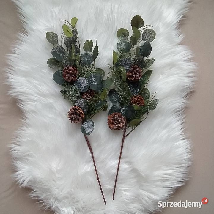 2 gałązka dekoracyjna śnieżona szyszki Koszalin