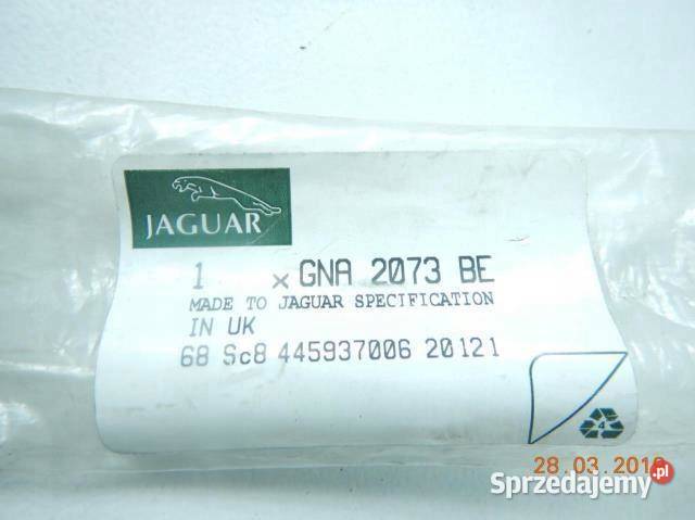 LISTWA DRZWI LEWY TYŁ JAGUAR VANDEN PLAS XJ6 XJ3 osobowe lubelskie