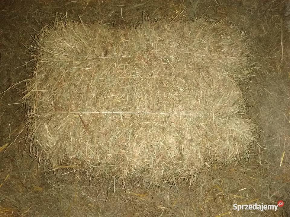 Siano słoma Nowe Miasteczko