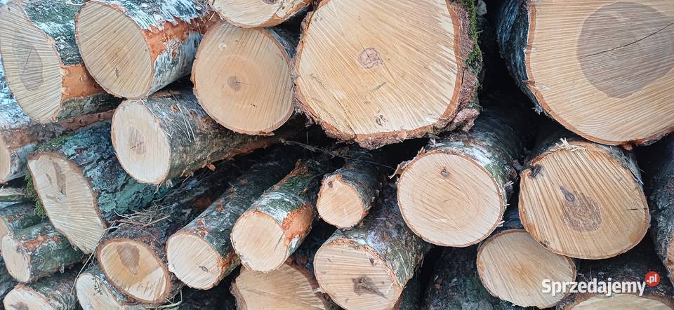 Sprzedam brzozę łupaną Swarzędz sprzedam