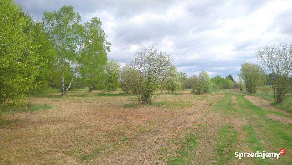 Sprzedam działkę budowlaną o pow 1000m2 z Popielżyn-Zawady