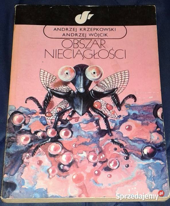 Obszar nieciągłości Andrzej Krzepkowski Andrzej Chełm