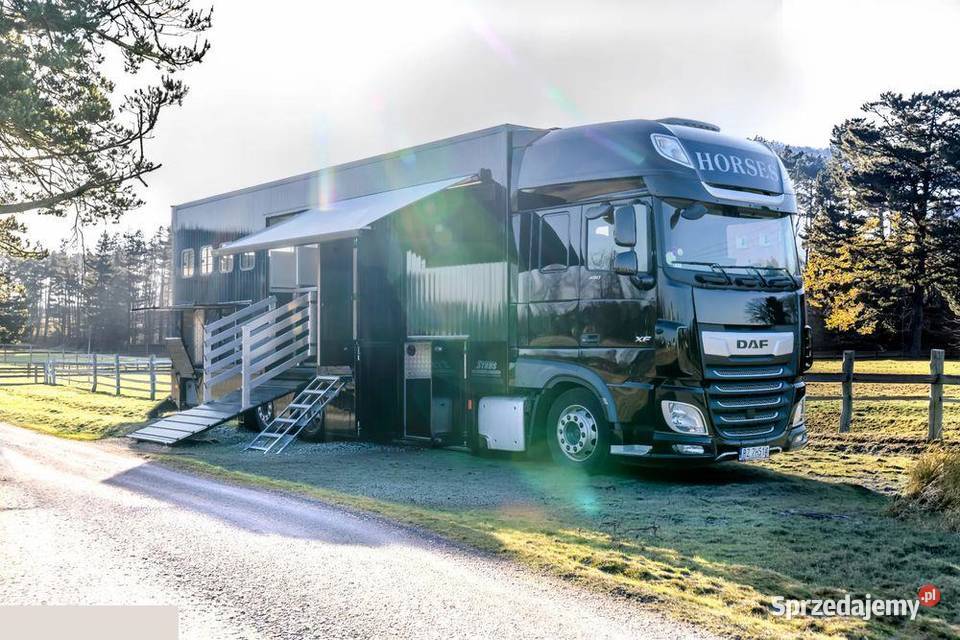 DAF XF 480 do przewozu 6 koni 2021r Luksus Rokietnica