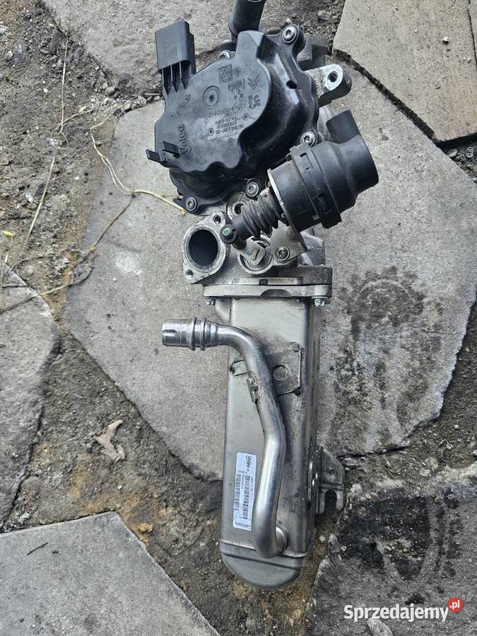 Chłodnica EGR Peugeot 508 22HDI dolnośląskie Wrocław