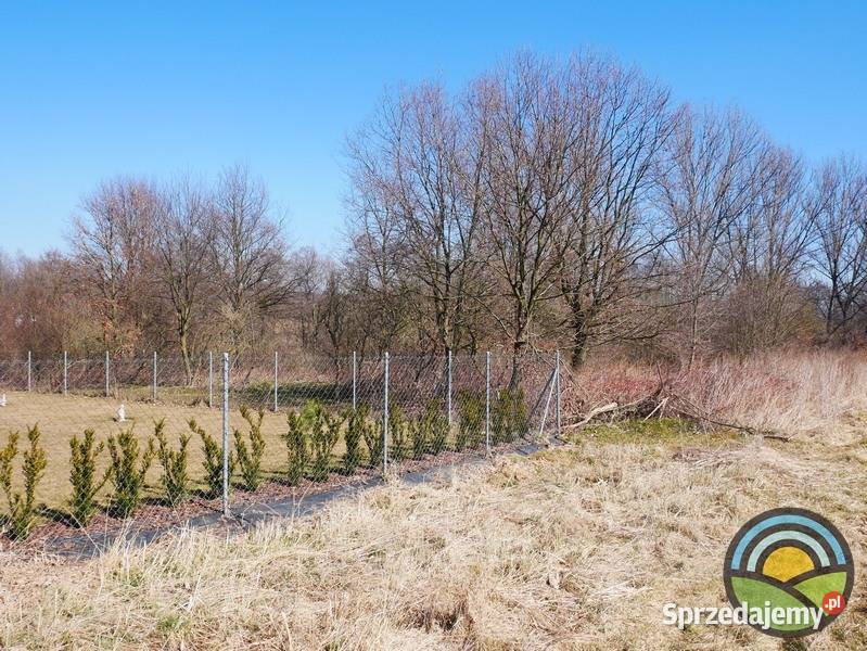 Niegoszowice gm Zabierzów działka 186 arowa w 18600m2 sprzedam