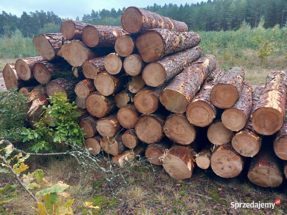 Różne rodzaje drewna opałowegokominkowego Dom i Ogród Mrągowo