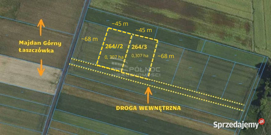 Otocz się zielenią i cisządziałki w Łaszczówce Łaszczówka