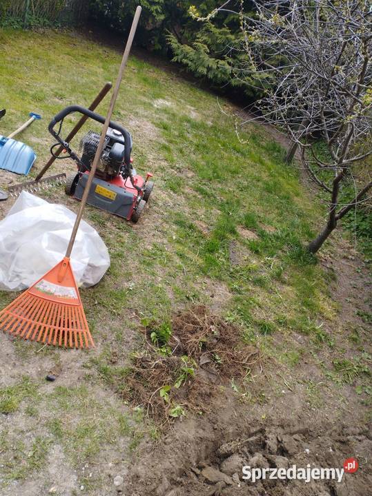 Koszenie trawy Dzień pomorskie Tczew 150 pomorskie