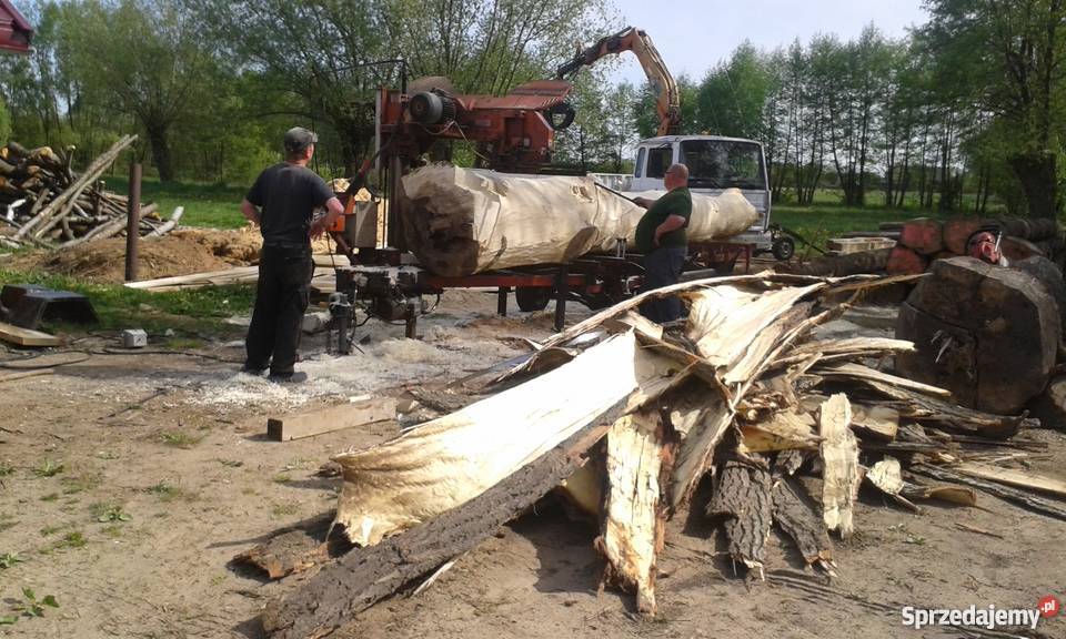 ProfesjonalnyTartak objazdowy warunki współpracy Drezdenko