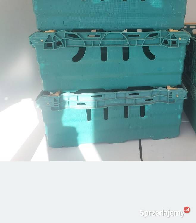 Skrzynki plastikowe Aleksandrów Kujawski