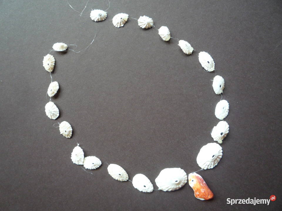 Nowe Korale Naszyjnik z muszelek Szczecin