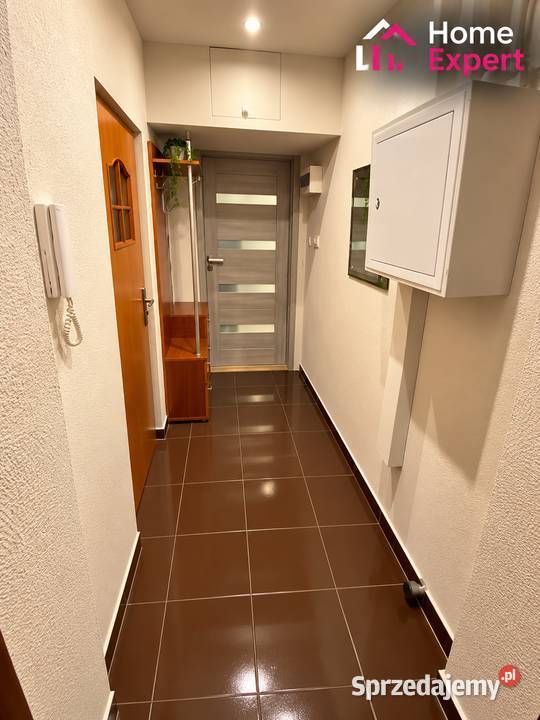 2pok 38met Kościuszki Wrocław Sprzedaż sprzedam