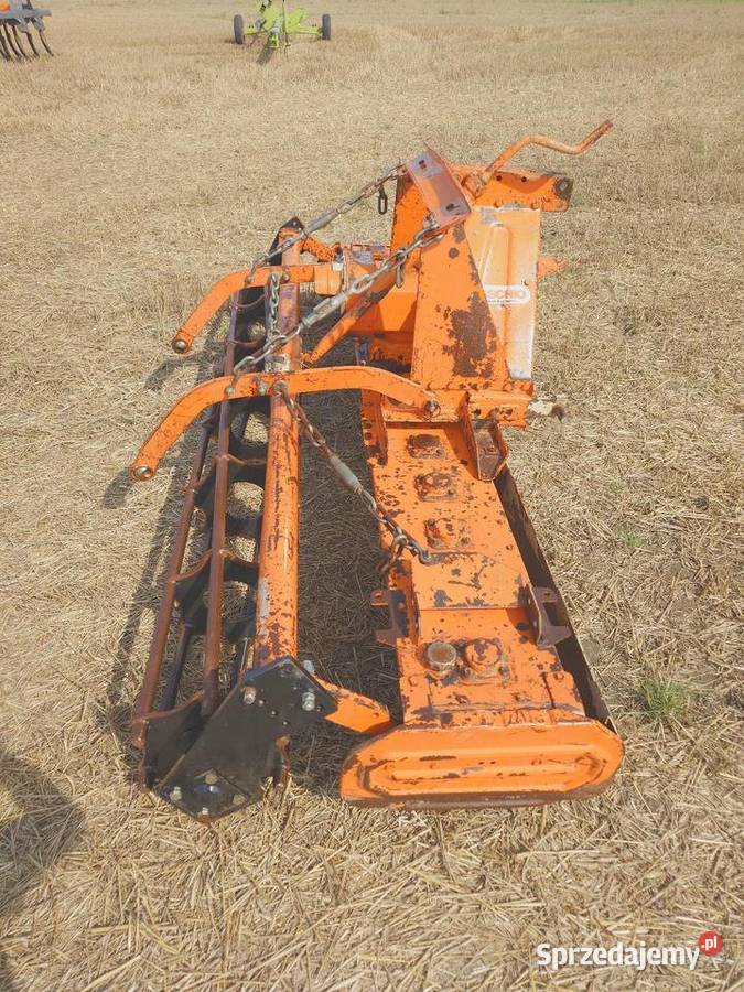 Brona Aktywna Maschio