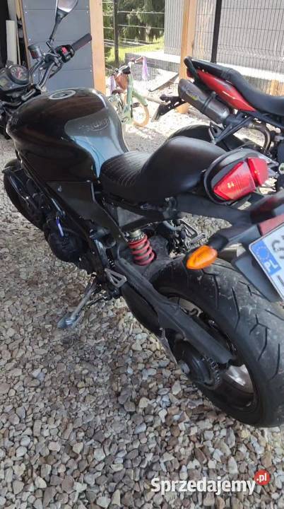 Triumph Daytona 955i Centennial Edition Paniówki