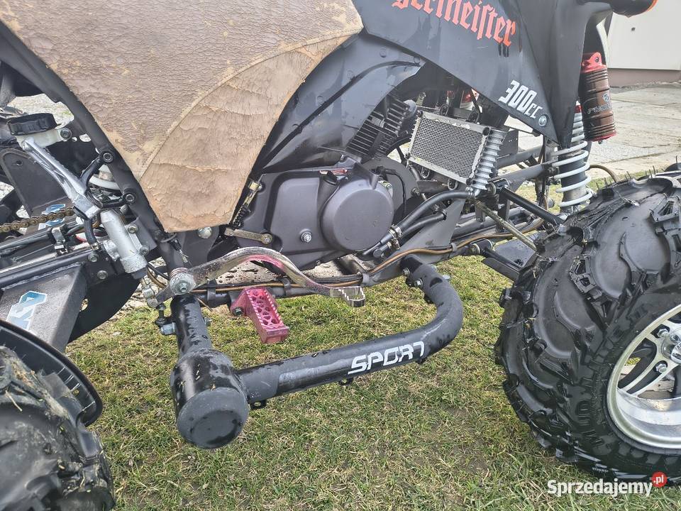 Bashan bs 300 Łużna