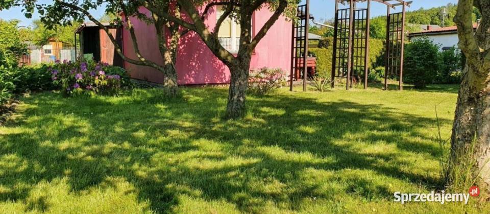 Działka ROD SUCHARSKIEGO Wejherowo 429m2 DOMEK