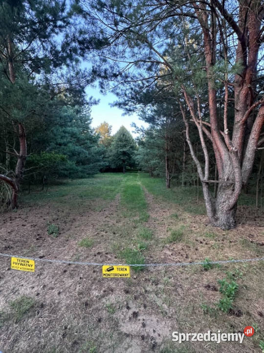 Sprzedam działkę mazowieckie Kaszewiec