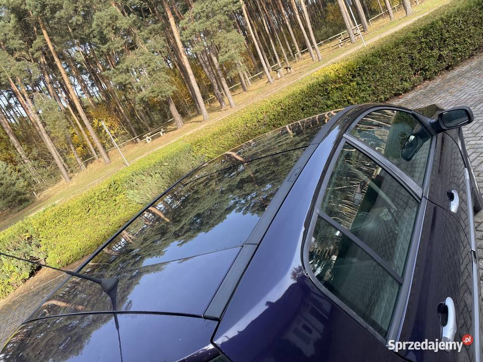 megane 2 20 turbo Konin