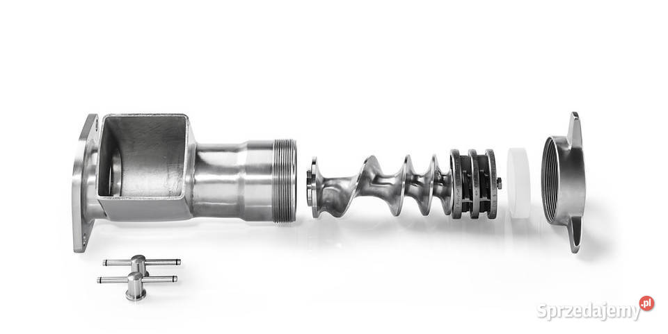 Wilk do mięsa Talsa