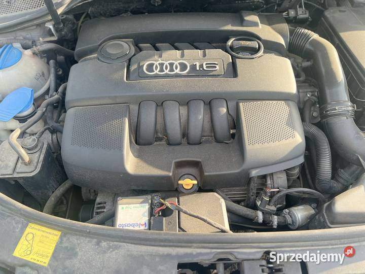 Audi A3 8P 102 16 MPI Automat 6 lpg GAZ Olsztyn