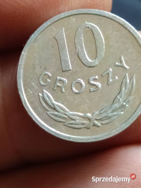 Sprzedam 10 gr 1981 r skretka Chełm